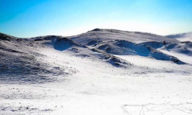 Voyage dans le temps : la découverte de nématodes millénaires dans le permafrost sibérien