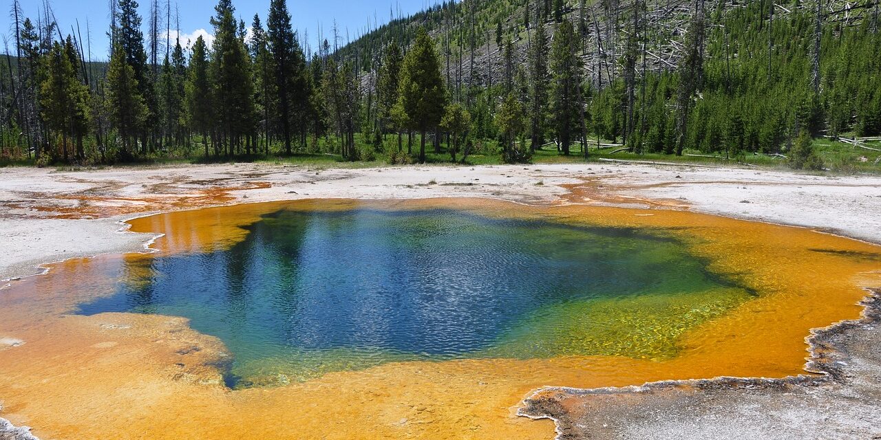 Les virus des sources chaudes de Yellowstone : voyageurs du temps venus des origines de la vie